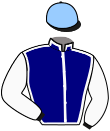 Casaque n°11