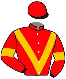 Casaque n°4