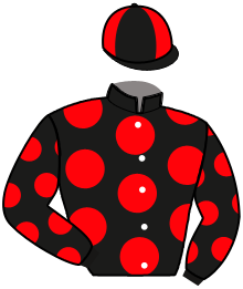 Casaque n°10