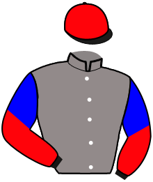 Casaque n°2