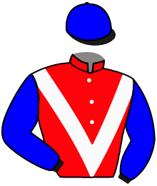Casaque n°3