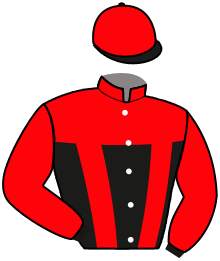 Casaque n°3