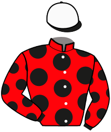 Casaque n°11