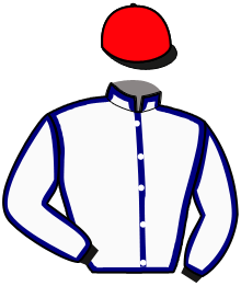 Casaque n°2