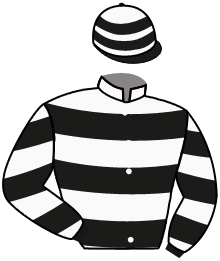 Casaque n°11