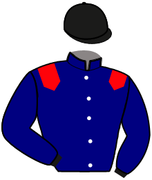 Casaque n°6