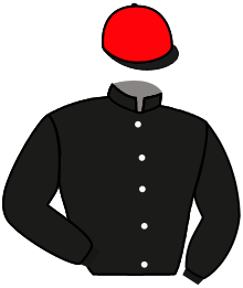Casaque n°6