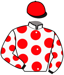 Casaque n°4