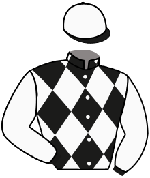 Casaque n°2