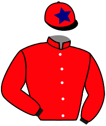 Casaque n°8