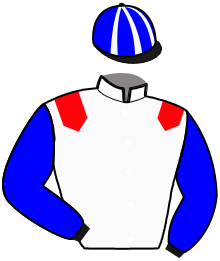 Casaque n°2