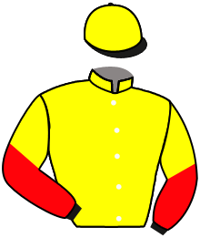 Casaque n°8