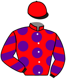 Casaque n°5