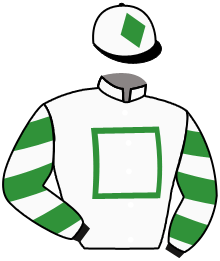 Casaque n°2