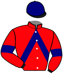 Casaque n°13