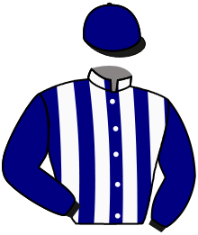 Casaque n°13