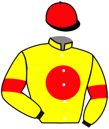 Casaque n°2