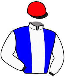 Casaque n°15
