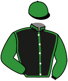 Casaque n°13