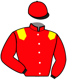 Casaque n°3