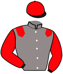 Casaque n°9