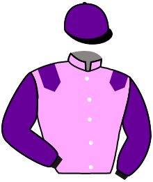 Casaque n°2