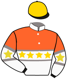 Casaque n°8