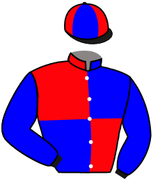 Casaque n°2