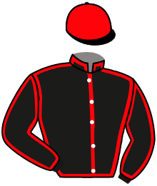 Casaque n°6