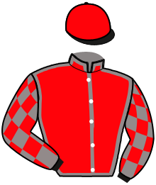 Casaque n°11