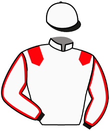 Casaque n°6