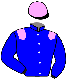 Casaque n°8