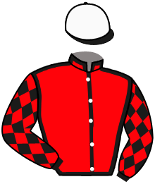 Casaque n°3