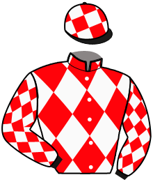 Casaque n°3