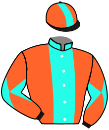 Casaque n°1