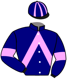 Casaque n°11