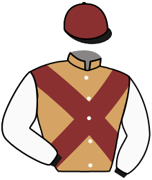 Casaque n°11