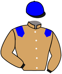 Casaque n°4