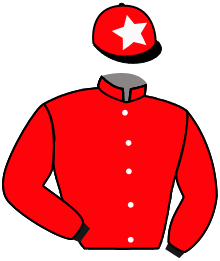 Casaque n°5