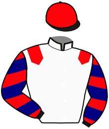 Casaque n°13
