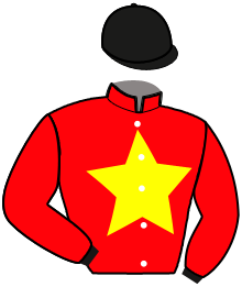 Casaque n°16