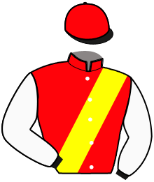 Casaque n°10
