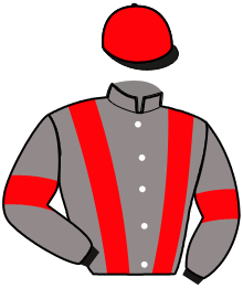Casaque n°3