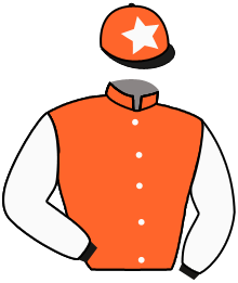 Casaque n°10