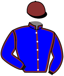 Casaque n°7