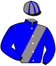 Casaque n°15