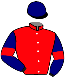 Casaque n°10