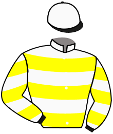 Casaque n°2