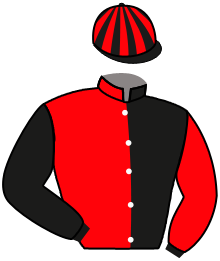 Casaque n°4