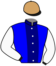 Casaque n°2